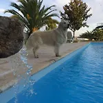 Moinho De Vento Шале *