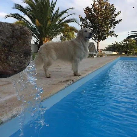Moinho De Vento Chalé *