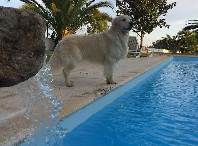 Moinho De Vento Chalé *